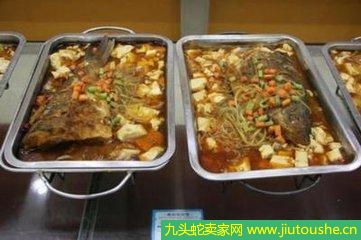 農村小本創(chuàng)業(yè)實操好項目知道的人不多